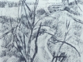 p1000589