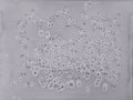 p1040404