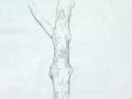 p1070928
